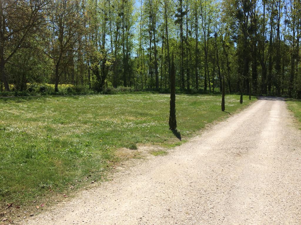 Gite Du Ruisseau De La Renne Thesee Luaran gambar